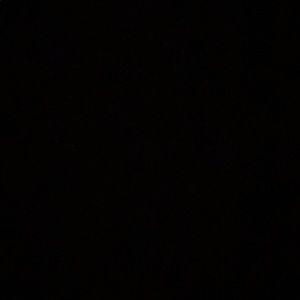 Meet your Posher, Leo